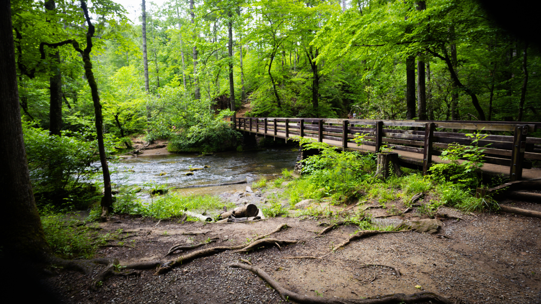 Abrams Falls Trail