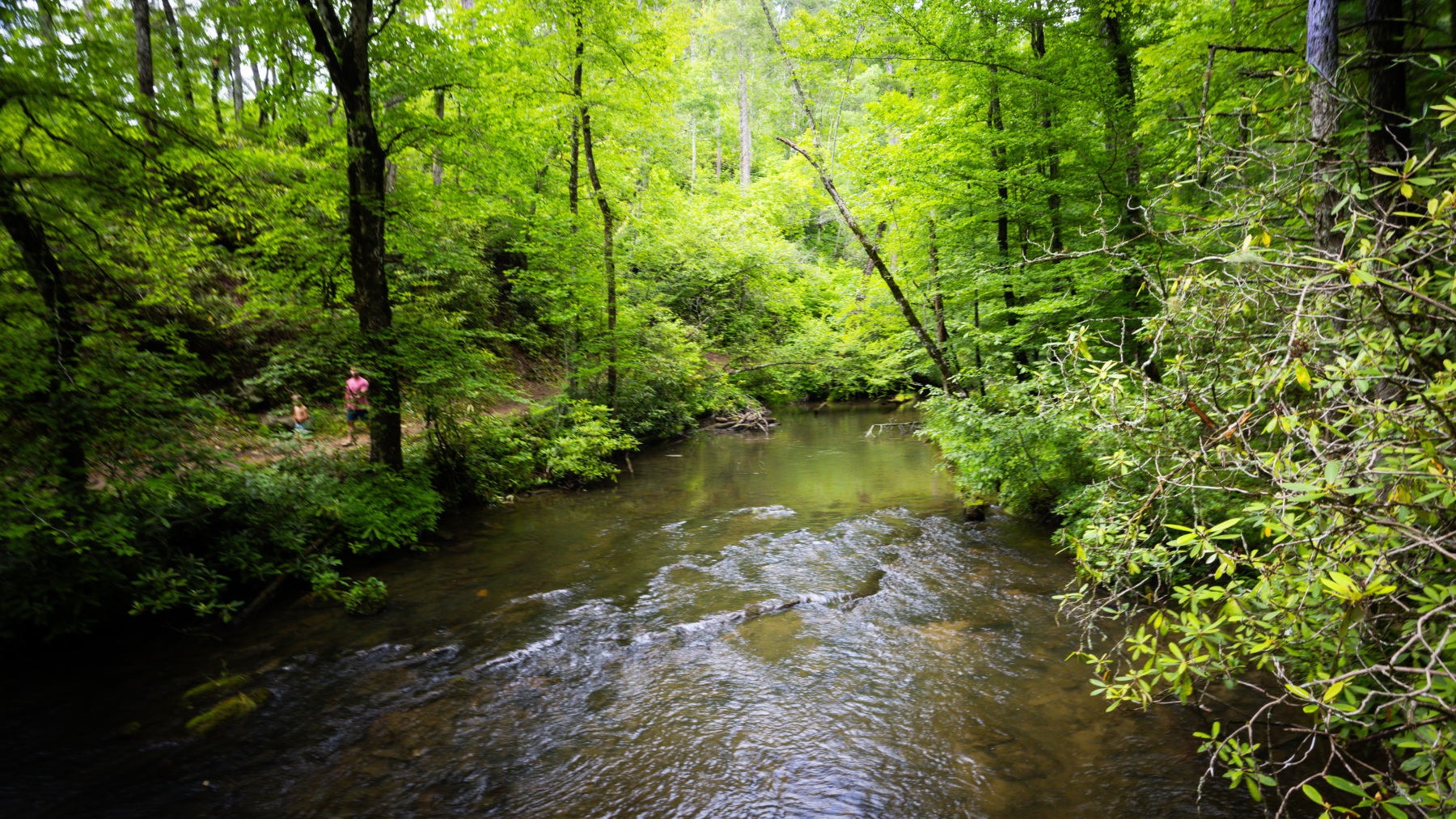 Abrams Falls Trail